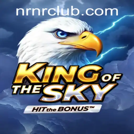 KingOfTheSky: Soaring Through the Digital Realm